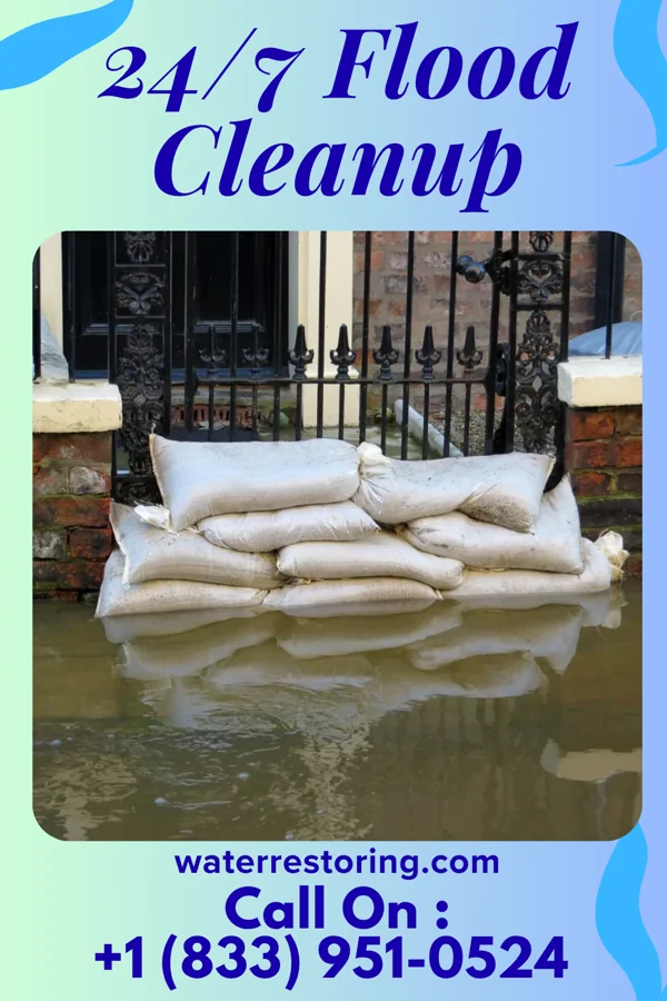 24/7 Flood Cleanup in Ridgeway, SC