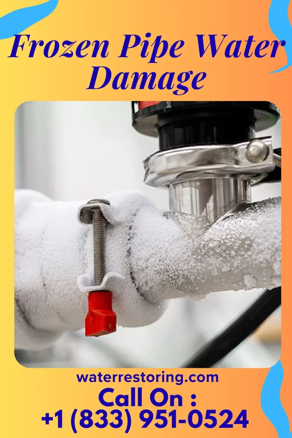 Frozen Pipe Water Damage in Ridgeway, SC