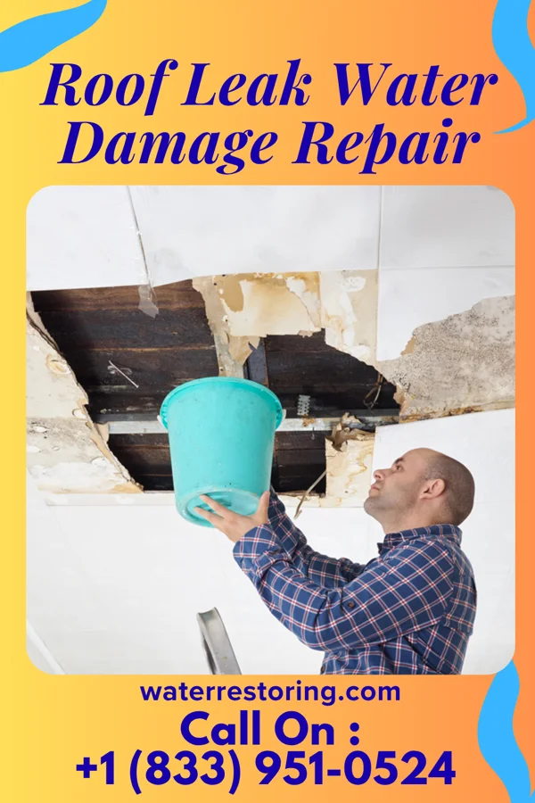 Roof Leak Water Damage Repair in Ridgeway, SC