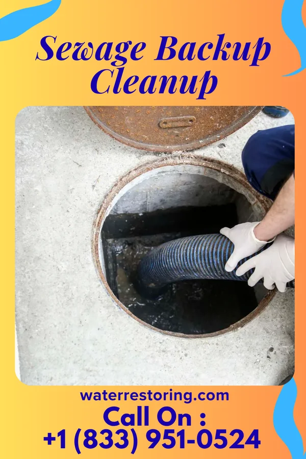 Sewage Backup Cleanup in Ridgeway, SC