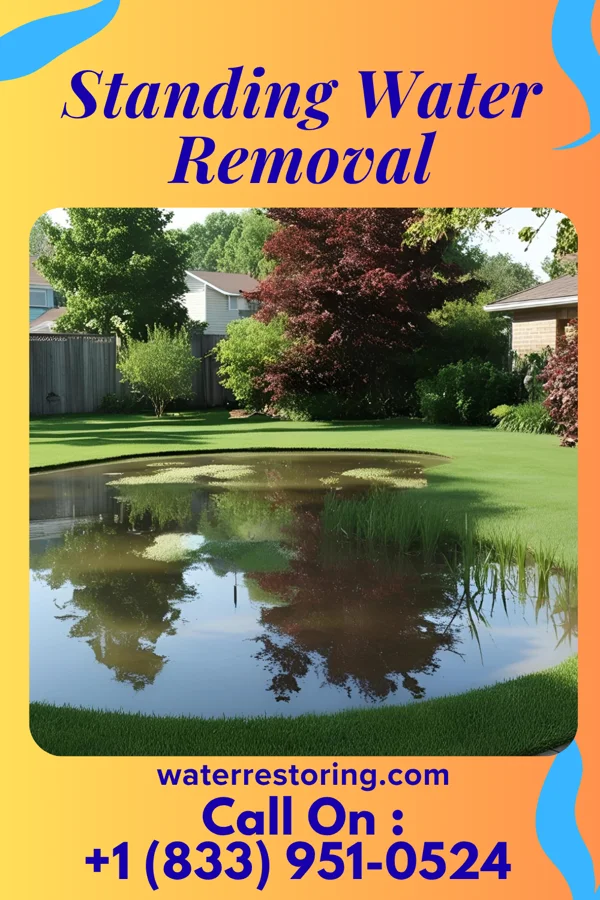 Standing Water Removal in Ridgeway, SC